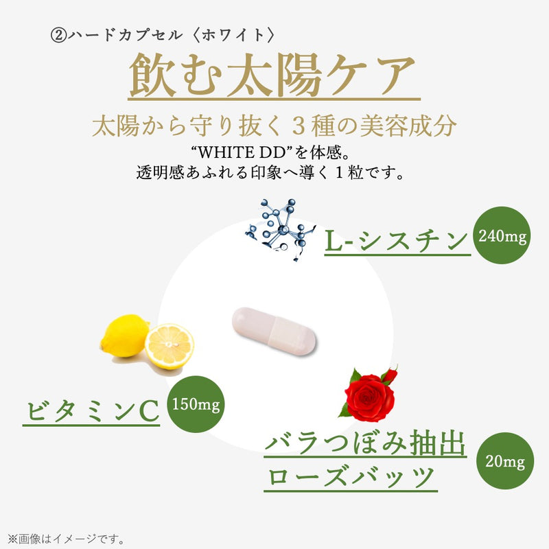 出群出群イステラ WHITE DD ホワイト ディーディー 飲む 日焼け止め サプリ その他